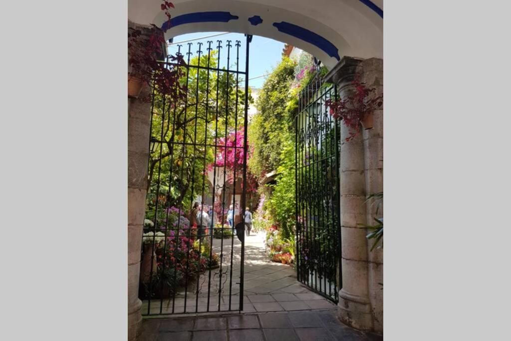 Apartamento San Pedro-Corredera Córdoba Eksteriør bilde