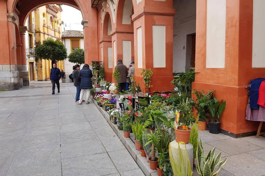 Apartamento San Pedro-Corredera Córdoba Eksteriør bilde