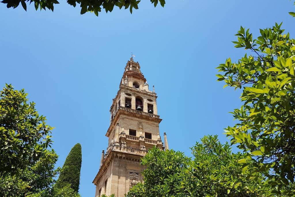 Apartamento San Pedro-Corredera Córdoba Eksteriør bilde